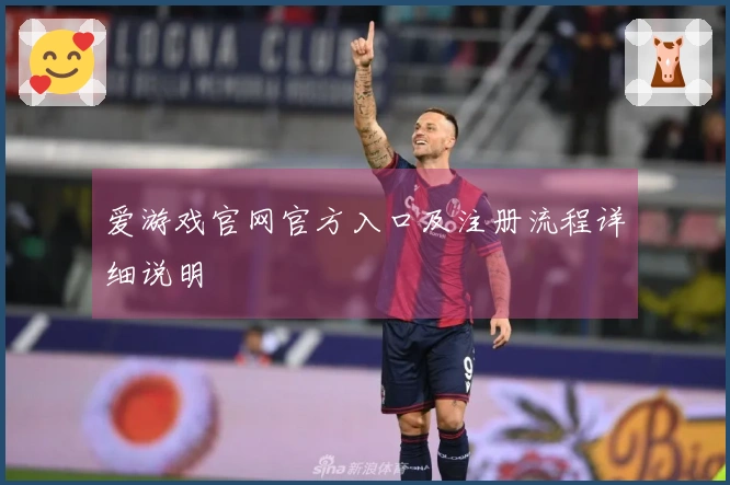爱游戏官网官方入口及注册流程详细说明