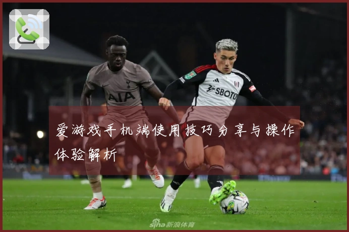 爱游戏手机端使用技巧分享与操作体验解析